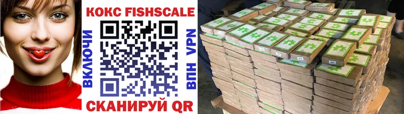 Кокаин FishScale  сколько стоит  Палласовка 