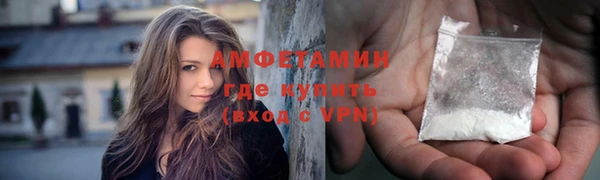 прущие грибы Богородицк