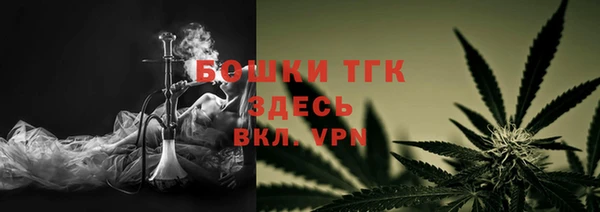 гашиш Богданович