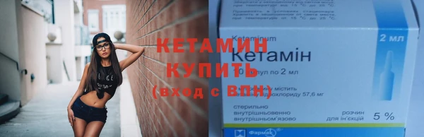 прущие грибы Богородицк