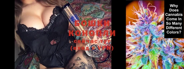 гашиш Богданович