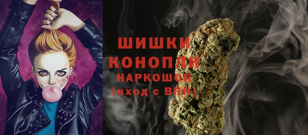 гашиш Богданович